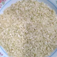 برنج چمپا