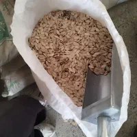 تخمه کدو اجیلی