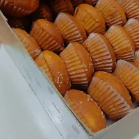 فروش پکیج کامل کیک و شیرینی