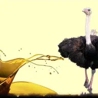 روغن شتر مرغ اصل