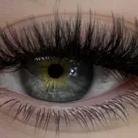 مدل اکستنشن مژه|خدمات آرایشگری و زیبایی|شیراز, قصرالدشت|دیوار