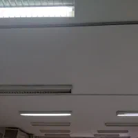 تعداد بیست عددمهتابی دوقلو