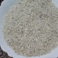 فروش‌برنج‌‌طاروم‌محلی‌