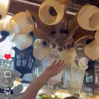 لوستر  ۶ شاخه چوبی با حباب نوری زیر .|لوستر و چراغ آویز|چالوس, |دیوار