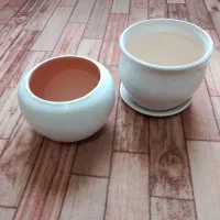 دوعددگلدان سالم