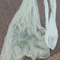 تور میگو