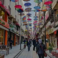 تور وان همه روزه