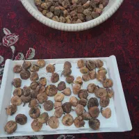 خشکبار