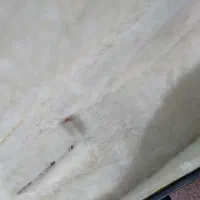 کیف سه تار داخل خز|سازهای سنتی|مشهد, تربیت (صدف)|دیوار