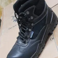 کفش کار