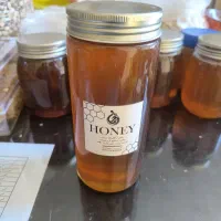 فروش عسل کوهی ارومیه