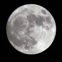 نیازمند مشاوره رایگان