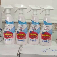 پاک کننده تمام سطوح CE|مواد شوینده و دستمال کاغذی|خرمشهر, |دیوار