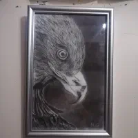 سیاه قلم مدل حیوانات