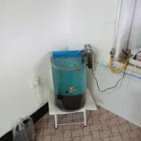 آکواریوم