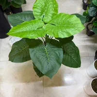 انواع درخت ودرختچه مصنوعی دکوراسیون منزل و محل کار|گل مصنوعی|تهران, شوش (باغ آذری)|دیوار