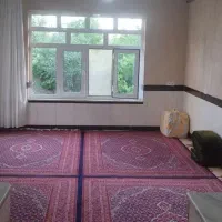 فروش چهار عدد فرش شش متری ریز ماهی