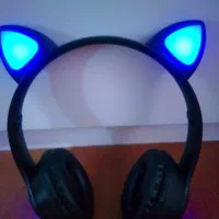 هدفن گربه ای دخترانه