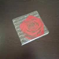 دستمال سفره کاغذی|سفره، حوله، دستمال آشپزخانه|تهران, امام زاده حسن|دیوار