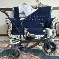 ۳چرخه دلیجان.مارک کارن
