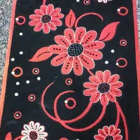 قالیچه دوعددچهارمتری تمیز دونه ای 500تومان