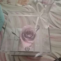 رز جاودان|گل مصنوعی|همدان, |دیوار