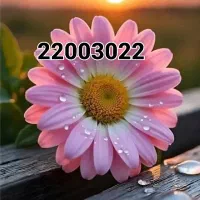 خط تلفن ثابت رند منطقه ۳