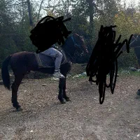 اسب‌۳۰‌ماه‌قد۱۳۸‌‌