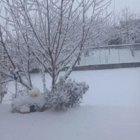 خانه-مسکونی-ویلایی-بزرگ-درخانزنیان-دهنوقلندری