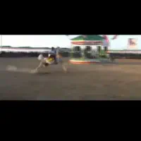 اسب|اسب و تجهیزات اسب‌سواری|مبارکه, |دیوار