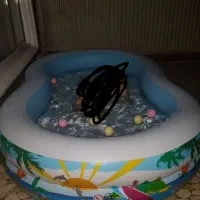 استخر