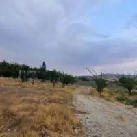 باغچه-700-متری-دشت-ارژن-با-آب-و-درخت