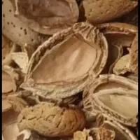 خرید پوست گردو بادام