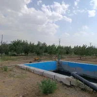 فروش-باغ