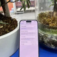 iphone 16 pro|موبایل|قم, چهل درخت‎|دیوار