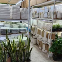 انواع گل طبیعی