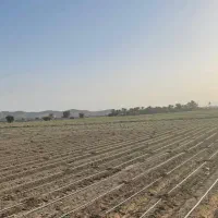 ۱۵ هکتار زمین قطره ای برقی کریم اباد