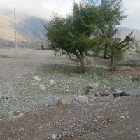 زمین مسکونی