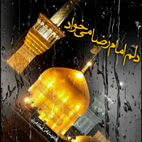 مشهدکاروانی  تور ویژه