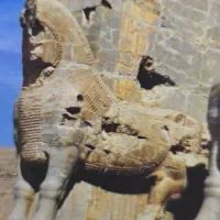 126 متر تک واحدی خیابان امیر کبیر