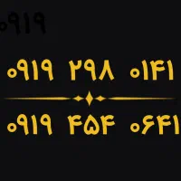 ۰۹۱۹.۲۹۸.۰۱۴۱