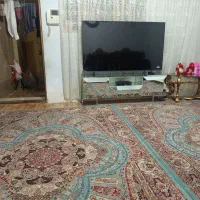 دو عدد فرش ۶متری