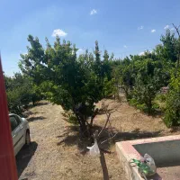 باغبانی نگهبانی سرایداری