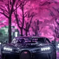 سپر سازی حسن