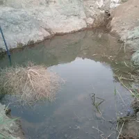 باسلام ودرودزمین باغ ۱۵۰۰متر اساوله