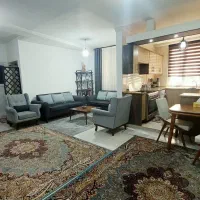 آپارتمان-63-متر-شخصی-ساز-رو-به-نما-داماک