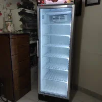 فریزر ویترینی صادراتی