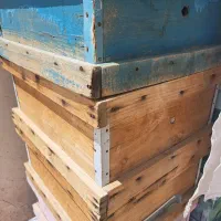 فروش طبق کندو