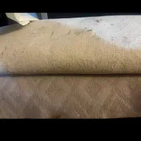 موکت درحدنو.