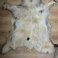 پوست بز طبیعی